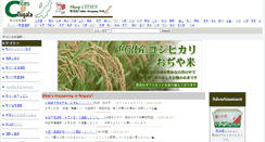 Desktop Screenshot of niigata.cities.jp